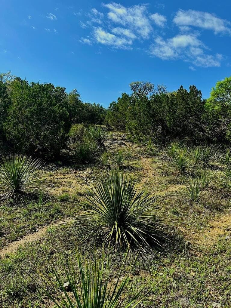 8.8 acres in Bexar County - photo 3