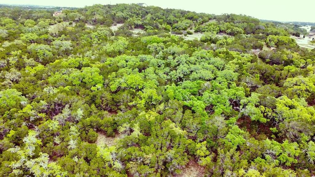 8.8 acres in Bexar County - photo 12