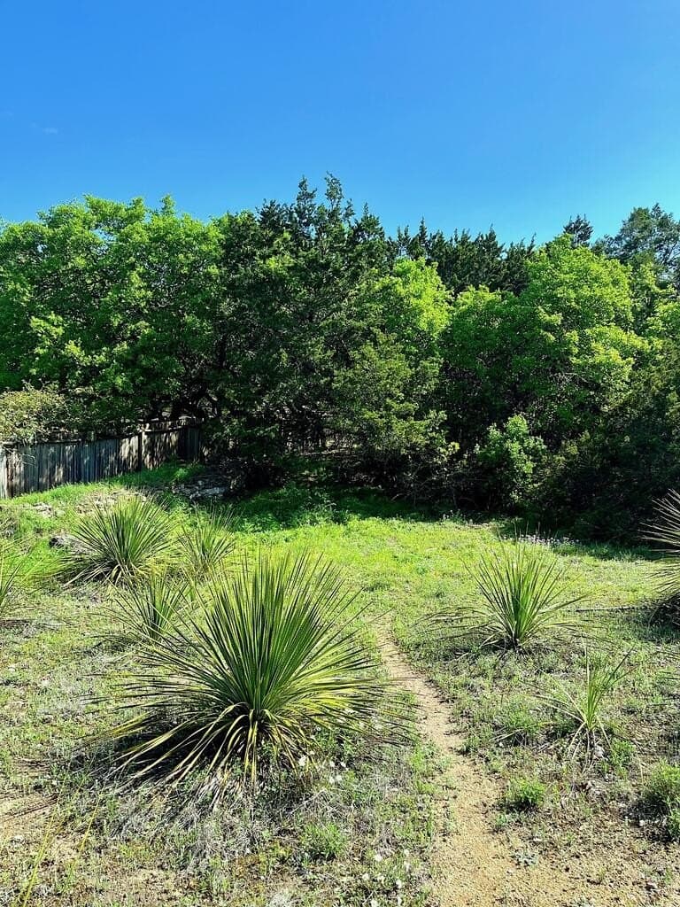 8.8 acres in Bexar County - photo 4