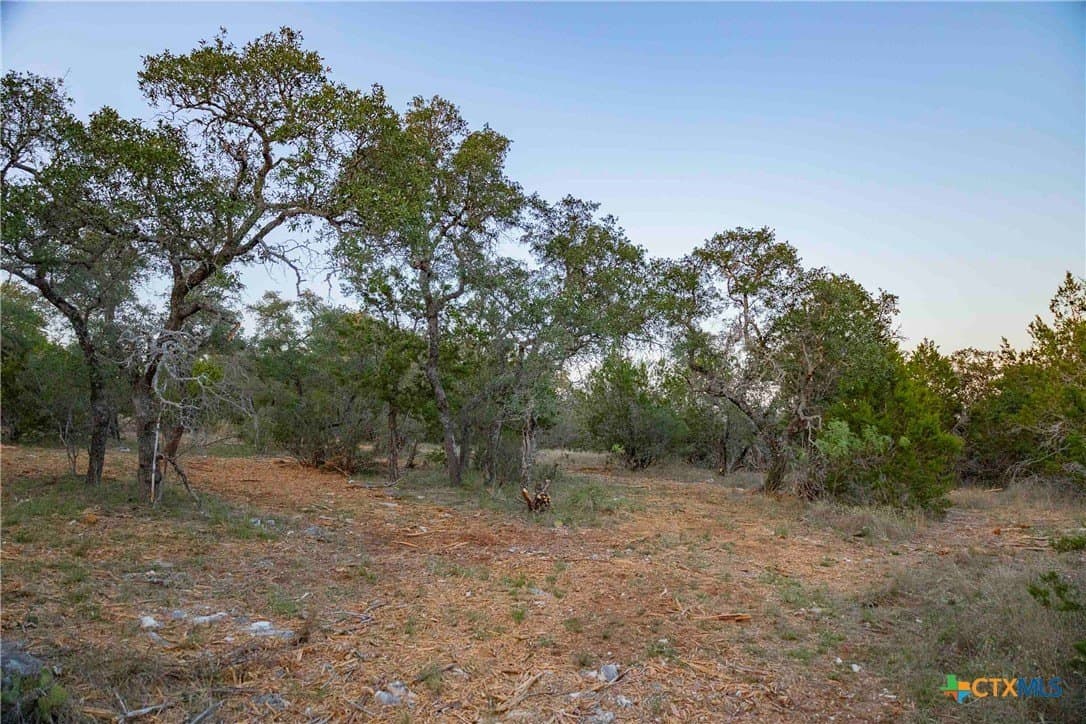 25.16 acres in Travis County - photo 33