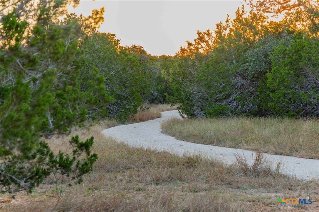 25.16 acres in Travis County - photo 36
