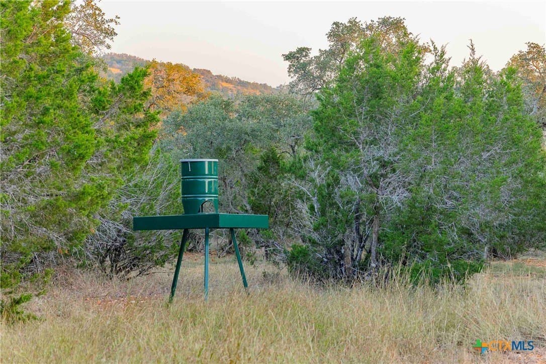25.16 acres in Travis County - photo 35