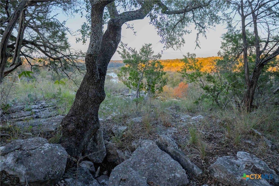25.16 acres in Travis County - photo 27