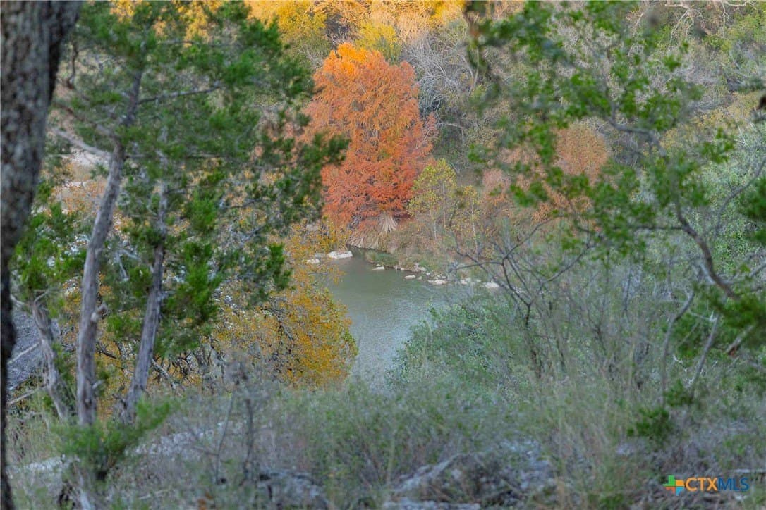25.16 acres in Travis County - photo 29