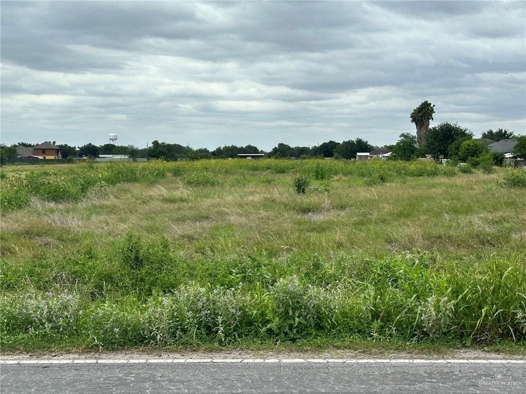 9.7 acres in Hidalgo County - photo 10