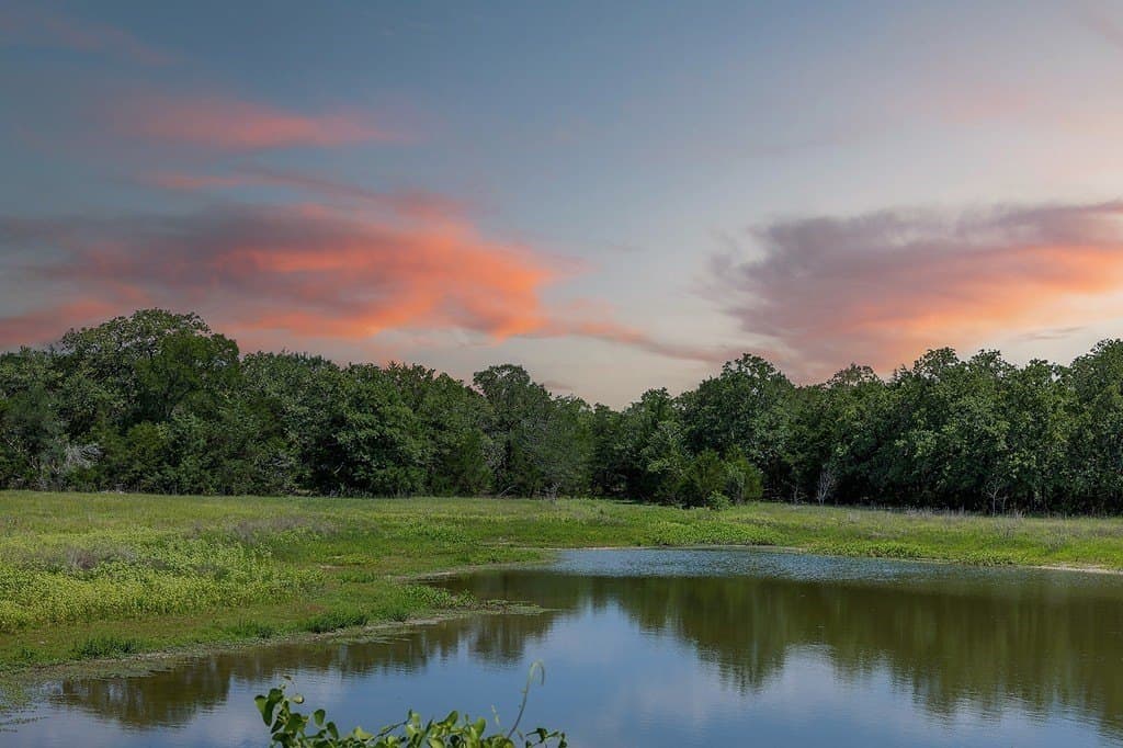 20 acres in Fayette County gallery image 2
