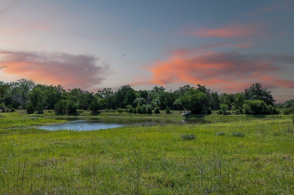 20 acres in Fayette County gallery image 4