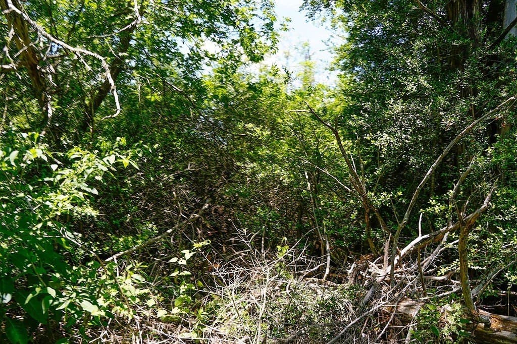 21.42 acres in Fayette County featured view