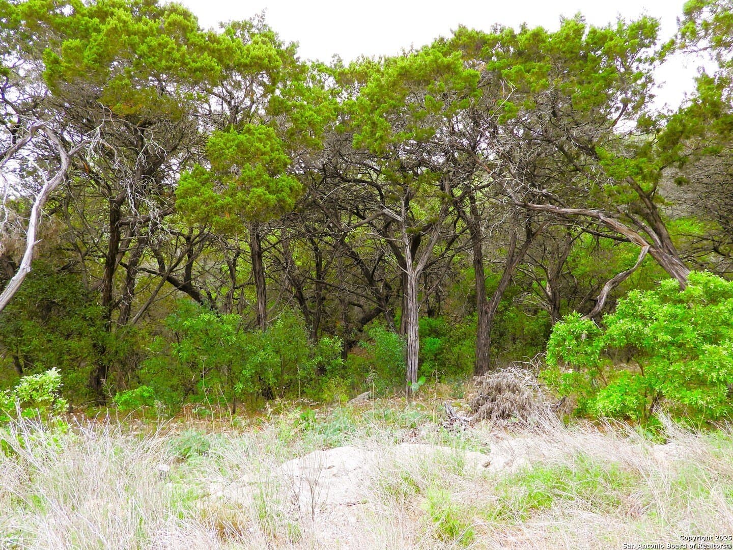 2.76 acres in Bandera County - photo 10