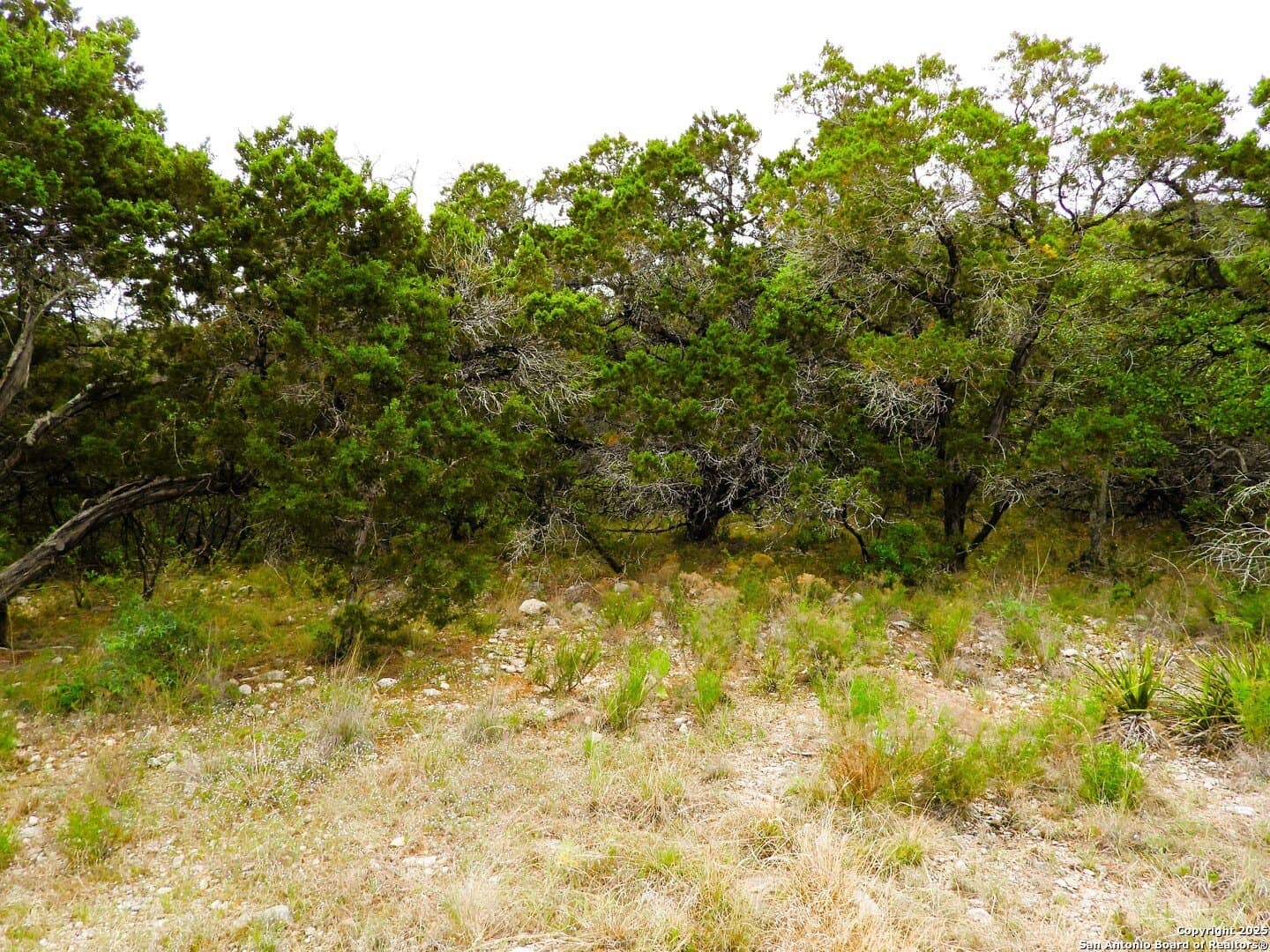2.76 acres in Bandera County - photo 3