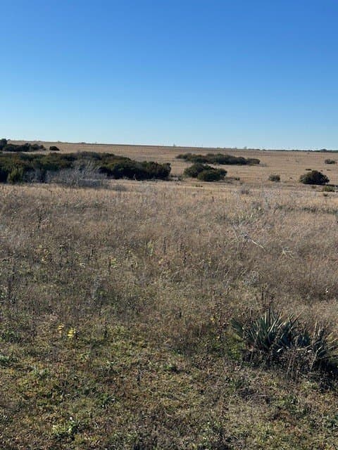 2.14 acres in Erath County gallery image 4