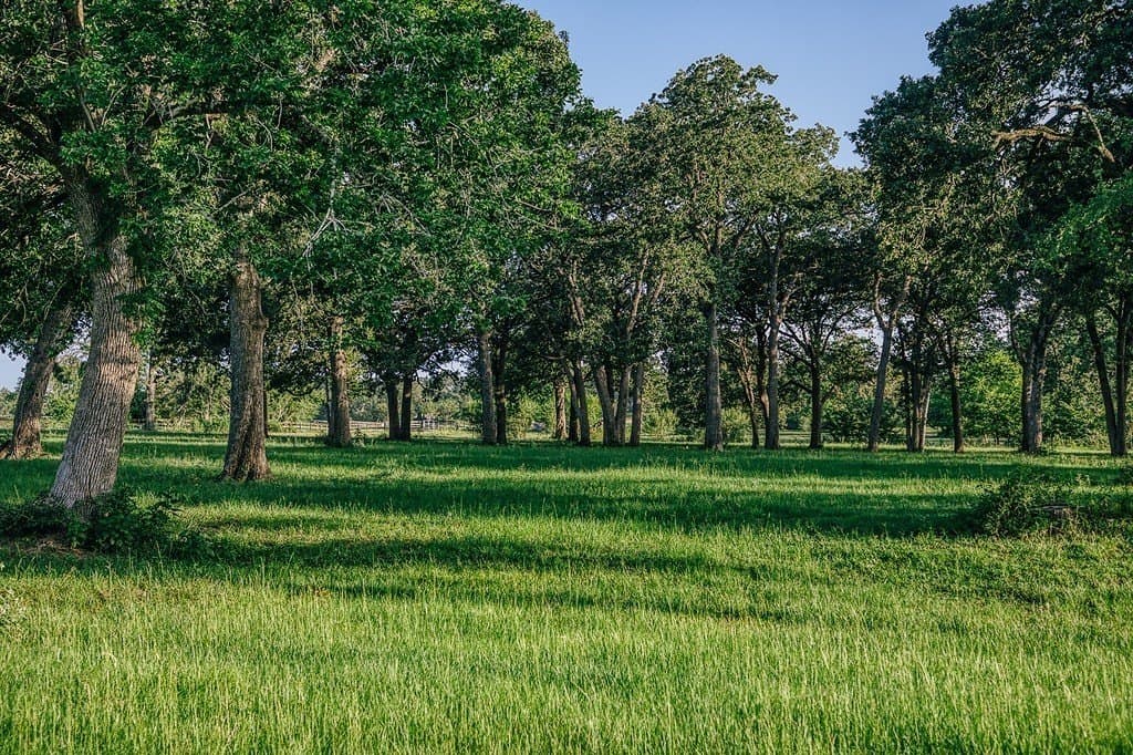 15 acres in Washington County - photo 22
