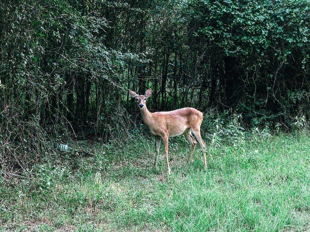 15 acres in Washington County featured view