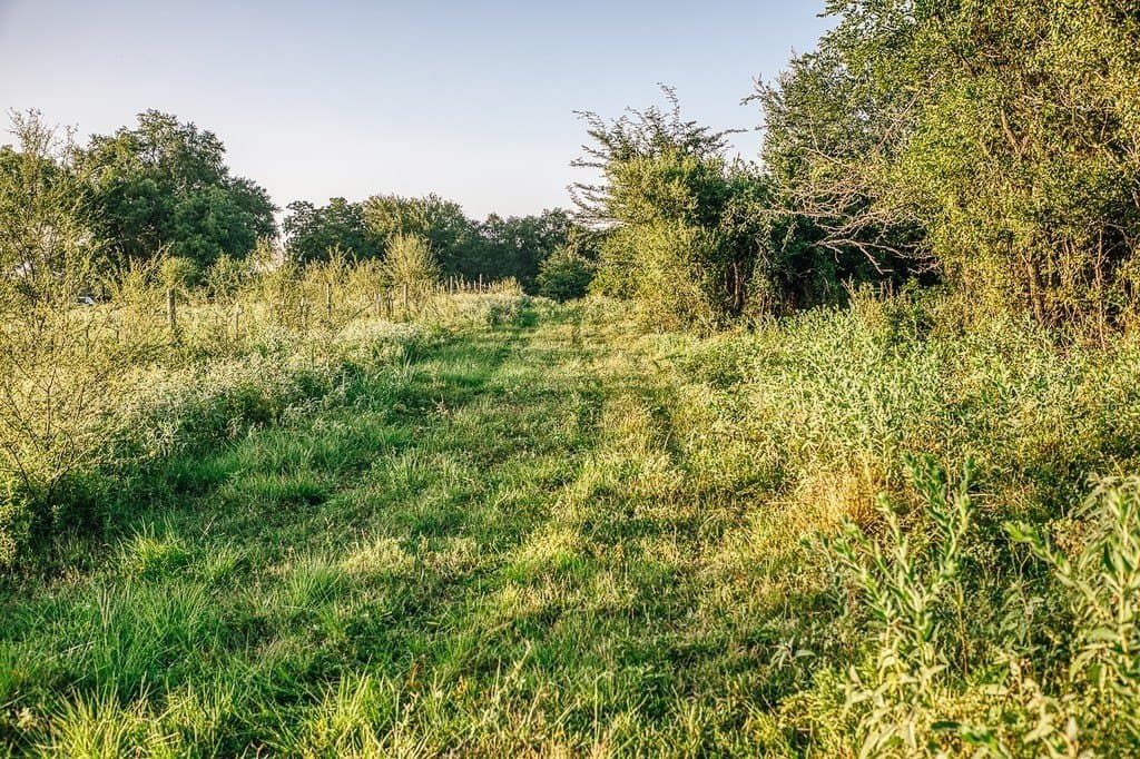 15 acres in Washington County - photo 19