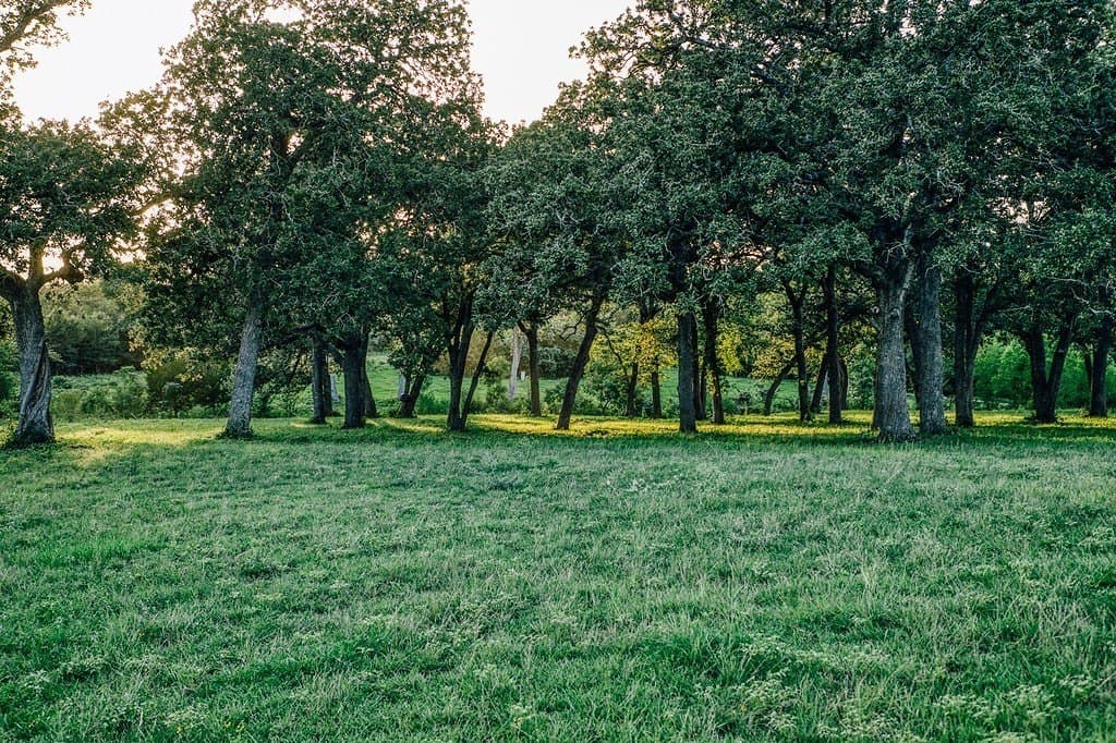 15 acres in Washington County - photo 15