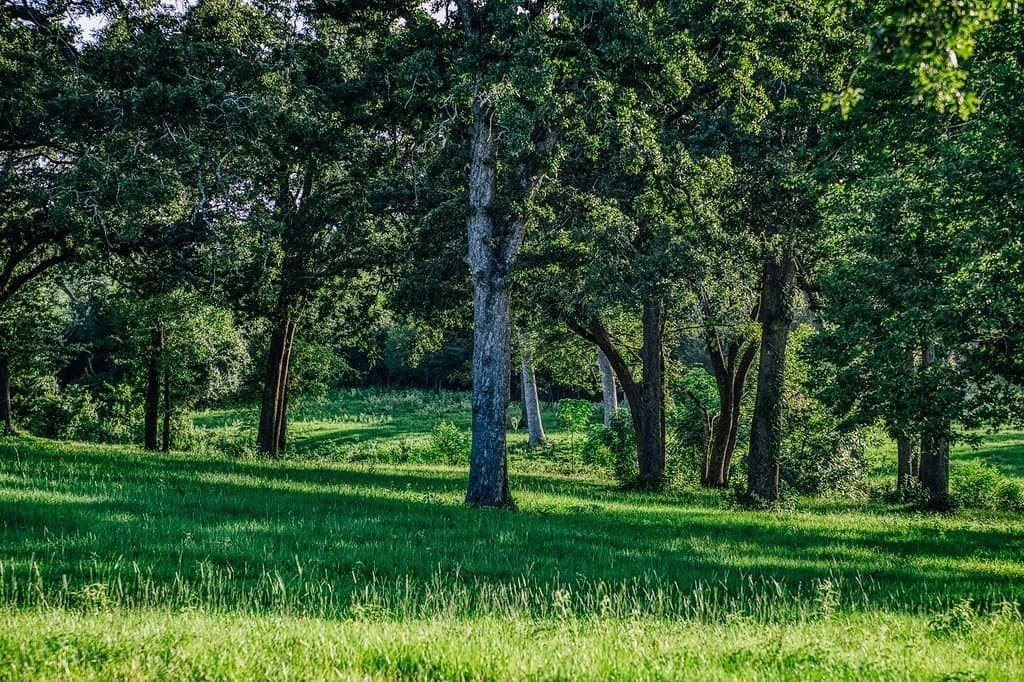 15 acres in Washington County - photo 25