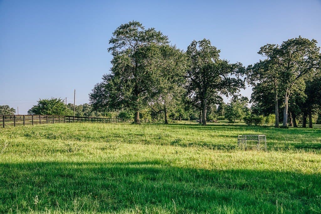 15 acres in Washington County - photo 29