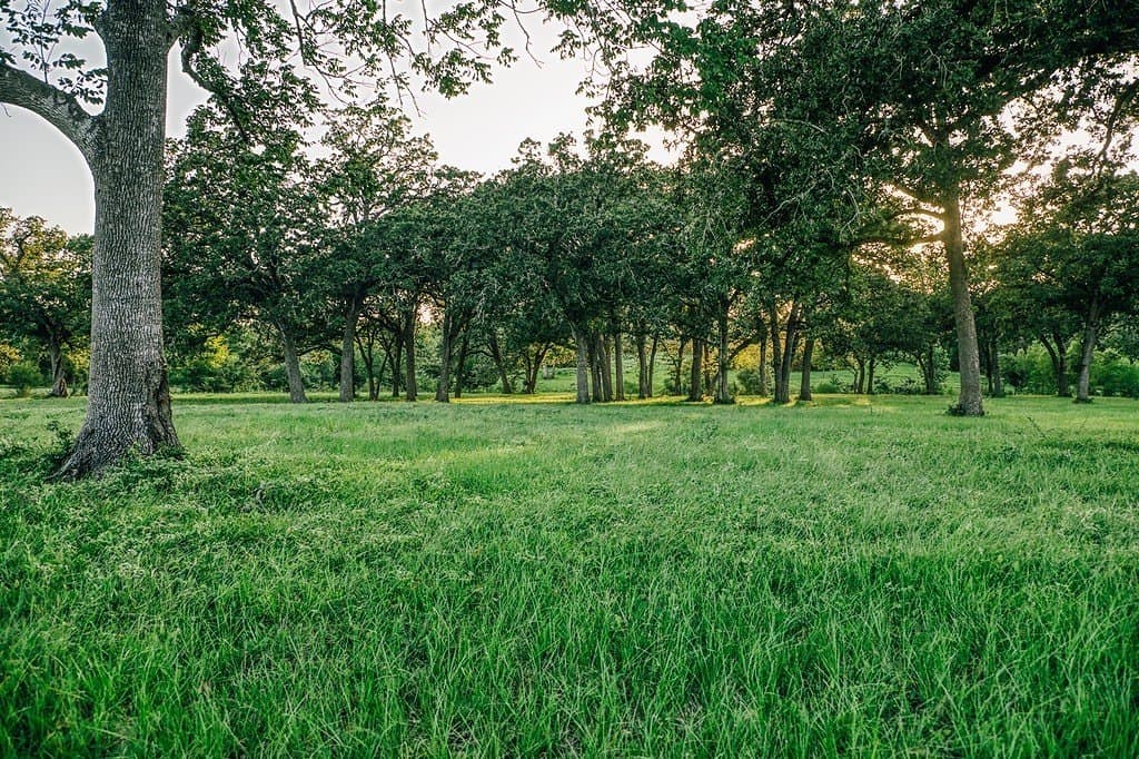 15 acres in Washington County - photo 13