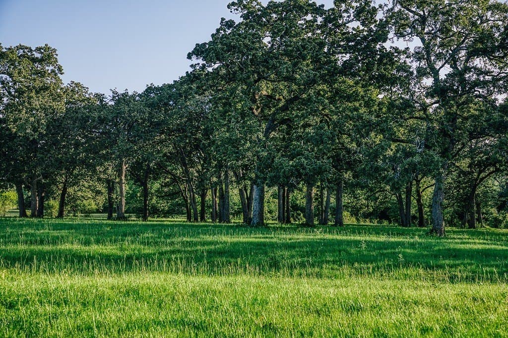 15 acres in Washington County - photo 28