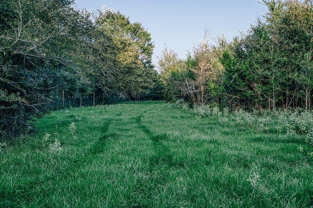 15 acres in Washington County - photo 27