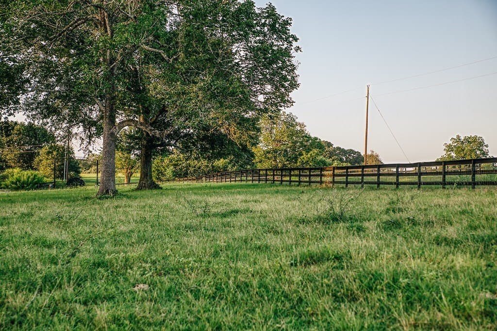 15 acres in Washington County - photo 14