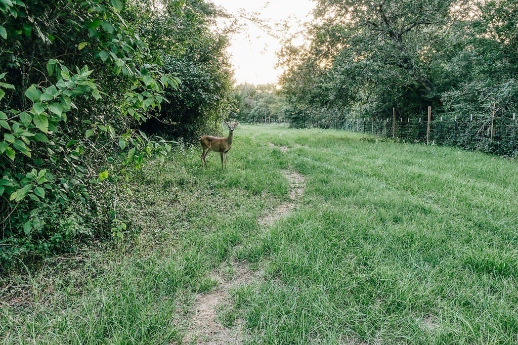 15 acres in Washington County - photo 8