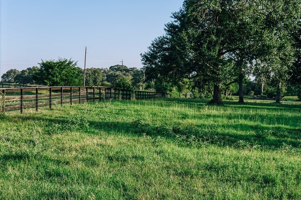 15 acres in Washington County - photo 10