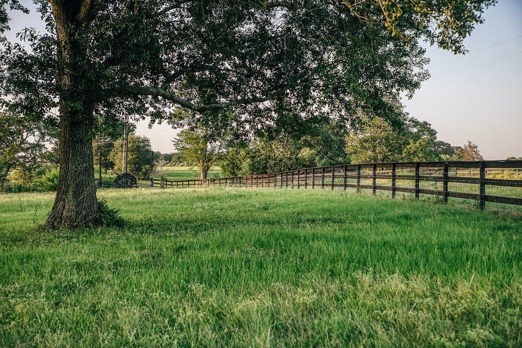 15 acres in Washington County gallery image 4
