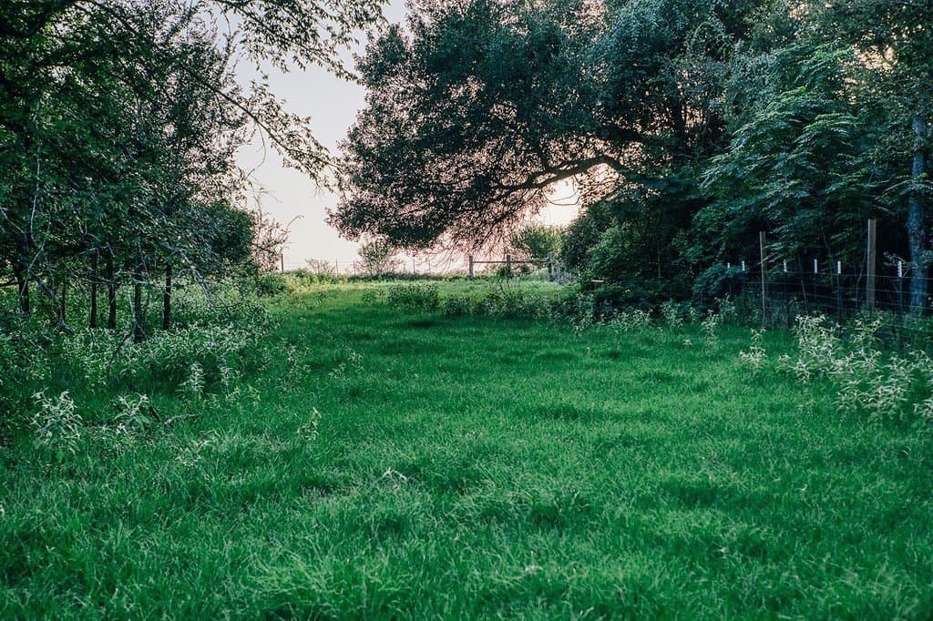 15 acres in Washington County - photo 20