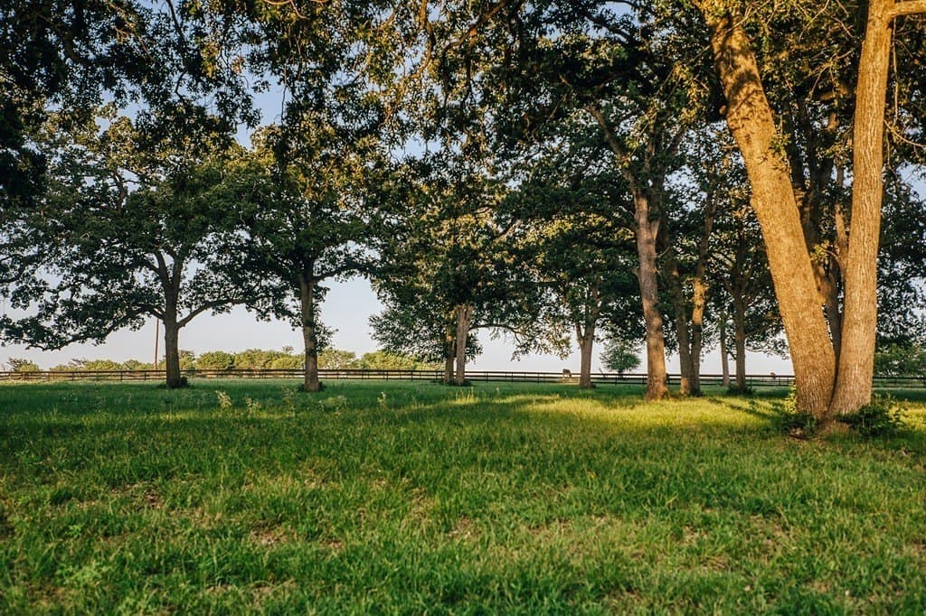 15 acres in Washington County - photo 17