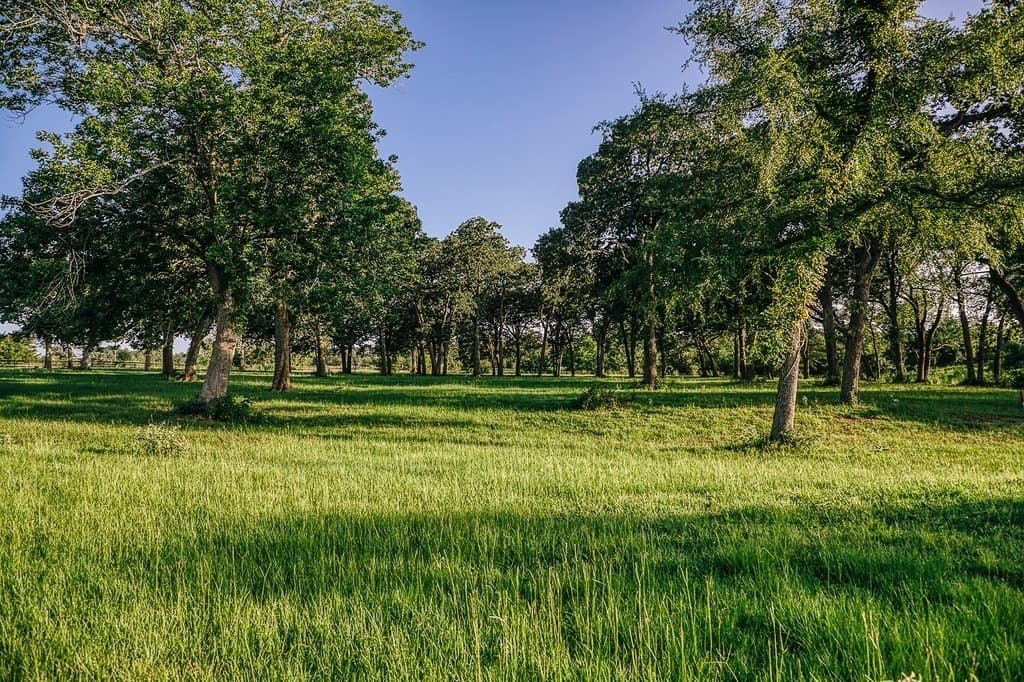 15 acres in Washington County - photo 24