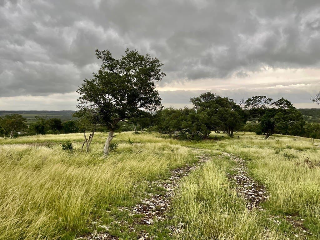 10.02 acres in Gillespie County - photo 4