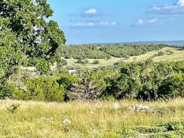 10.02 acres in Gillespie County - photo 12