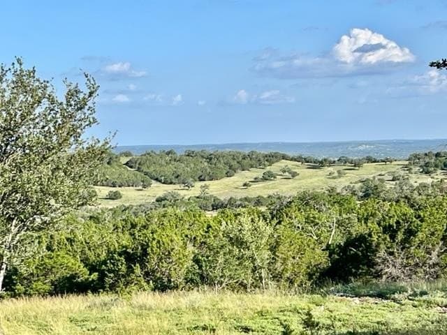 10.02 acres in Gillespie County - photo 13