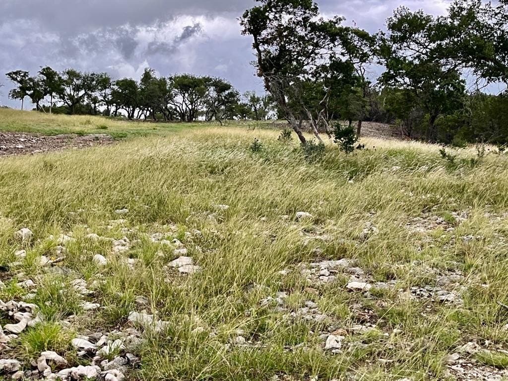 10.02 acres in Gillespie County - photo 10