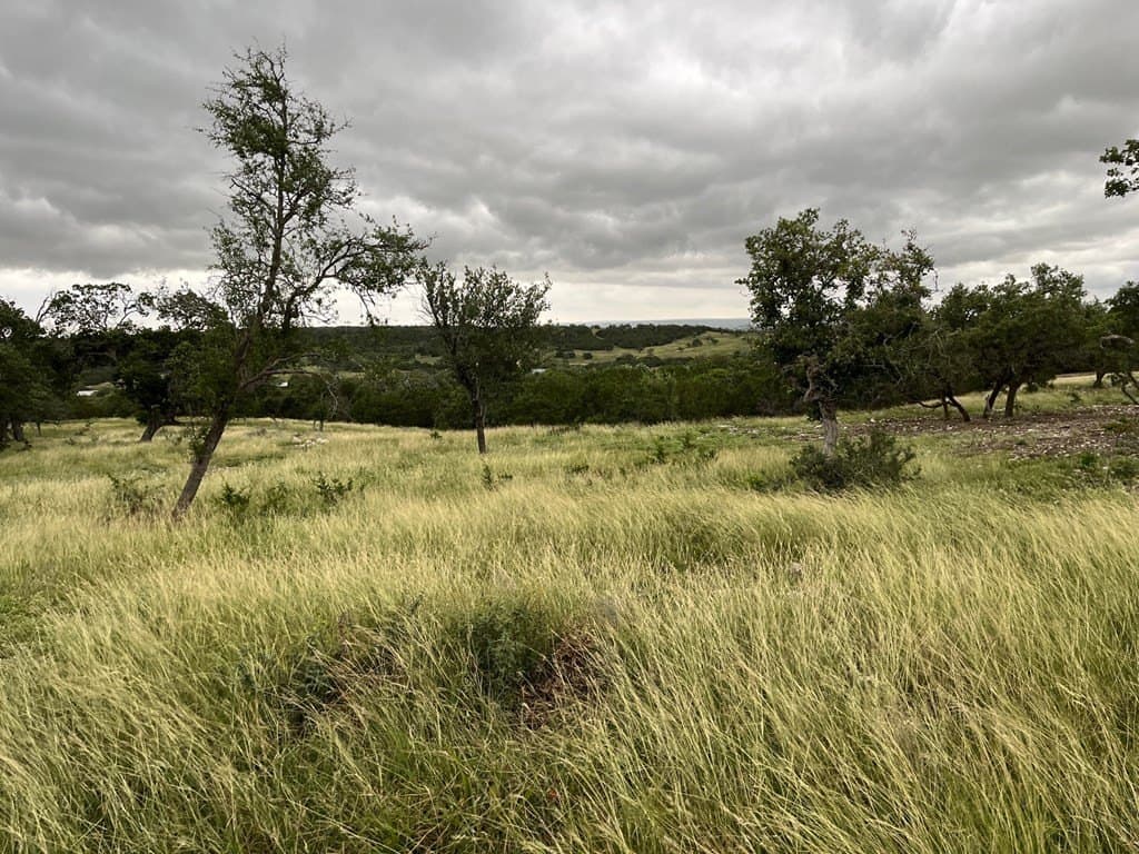 10.02 acres in Gillespie County - photo 8