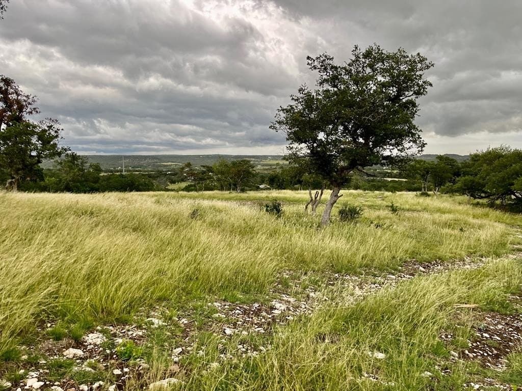 10.02 acres in Gillespie County - photo 11
