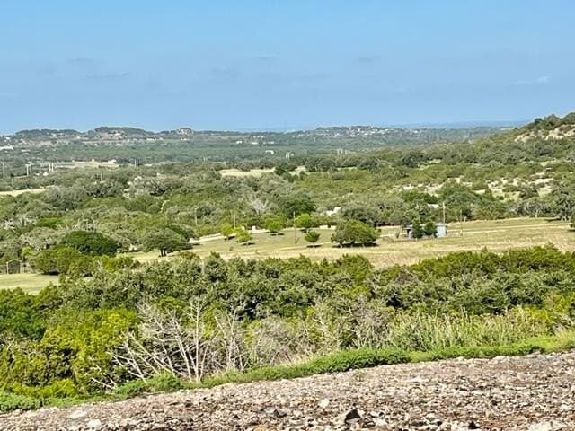 10.02 acres in Gillespie County - photo 17