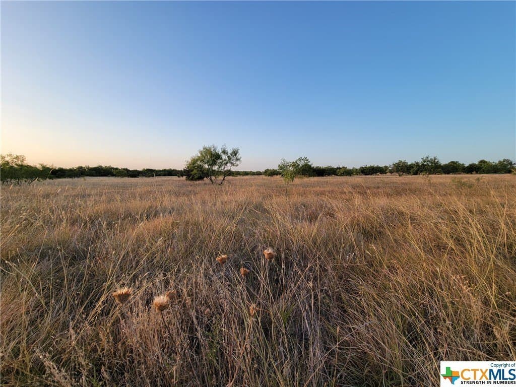 2 acres in Bell County - photo 8