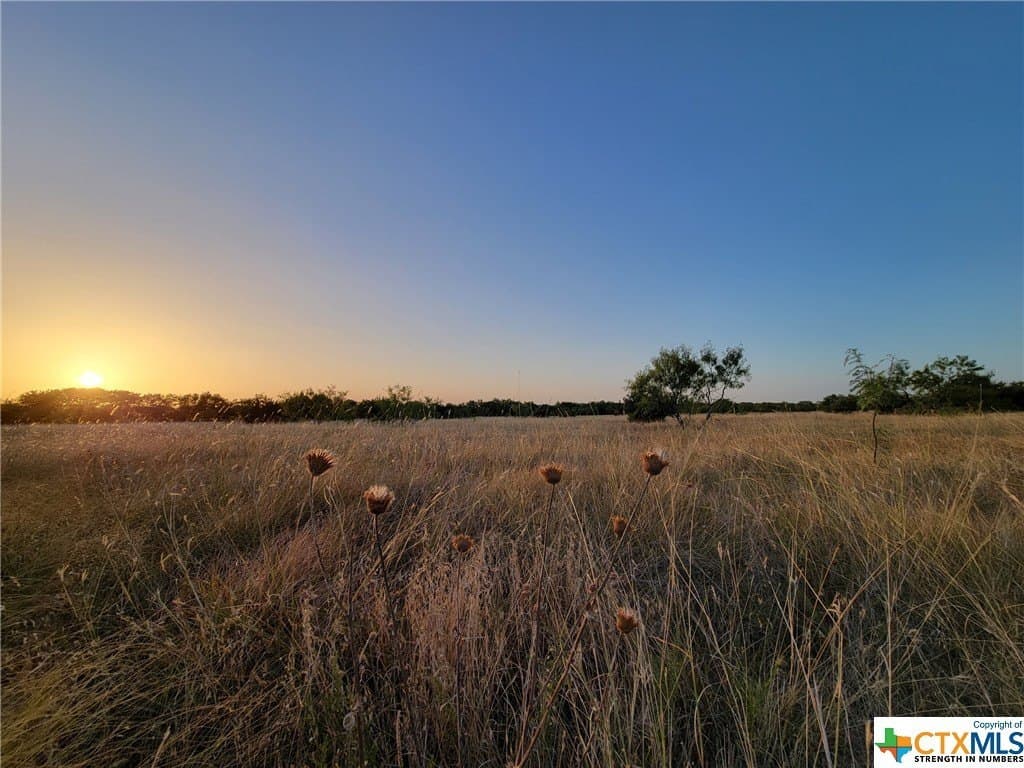 2 acres in Bell County - photo 7
