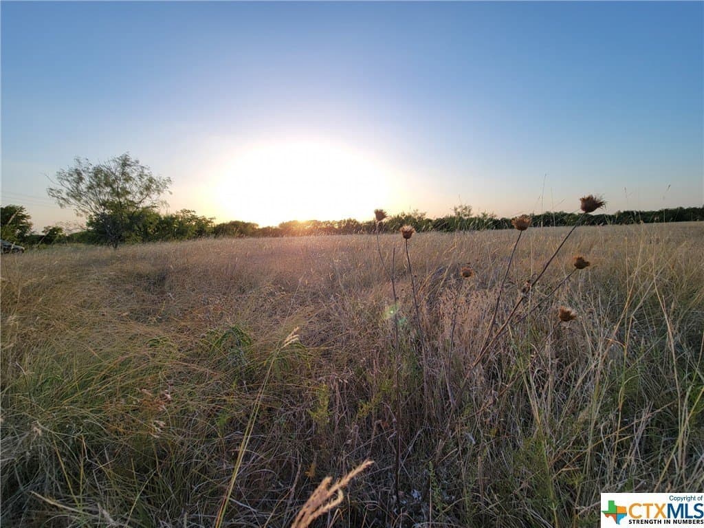 2 acres in Bell County gallery image 4