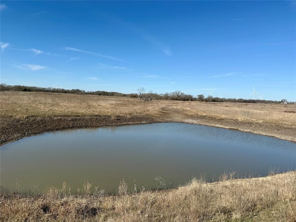 137.39 acres in Navarro County gallery image 4