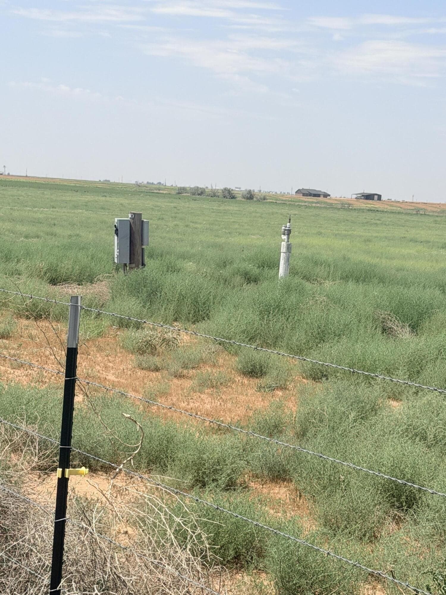 80 acres in Lubbock County - photo 7