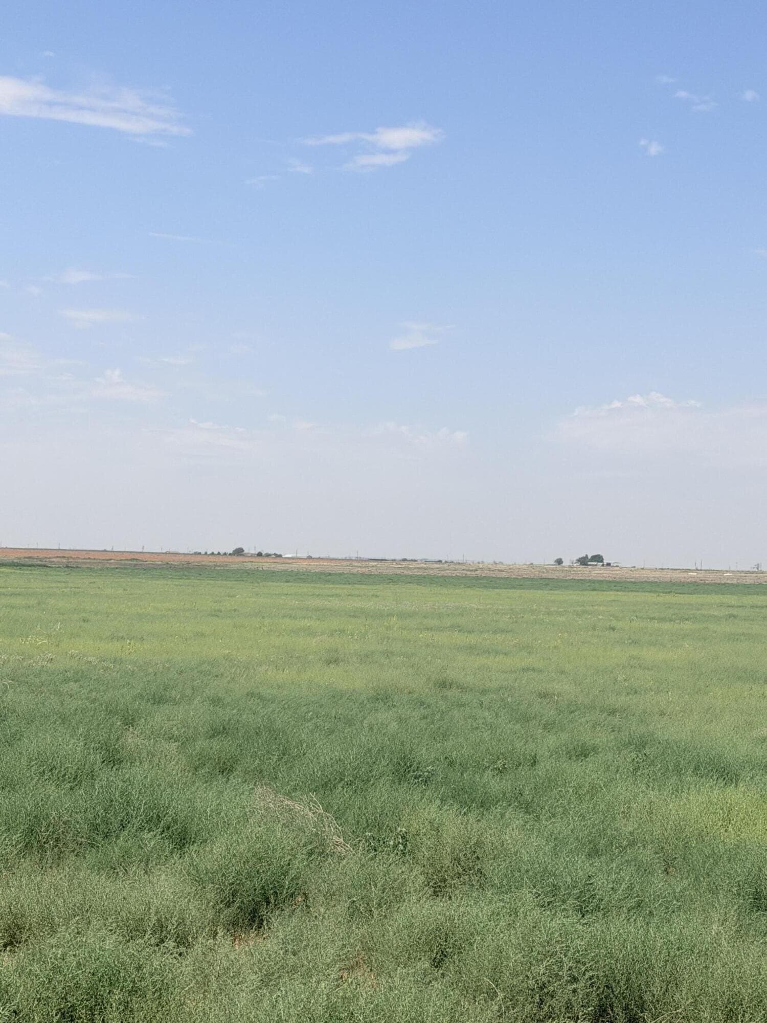 80 acres in Lubbock County - photo 4