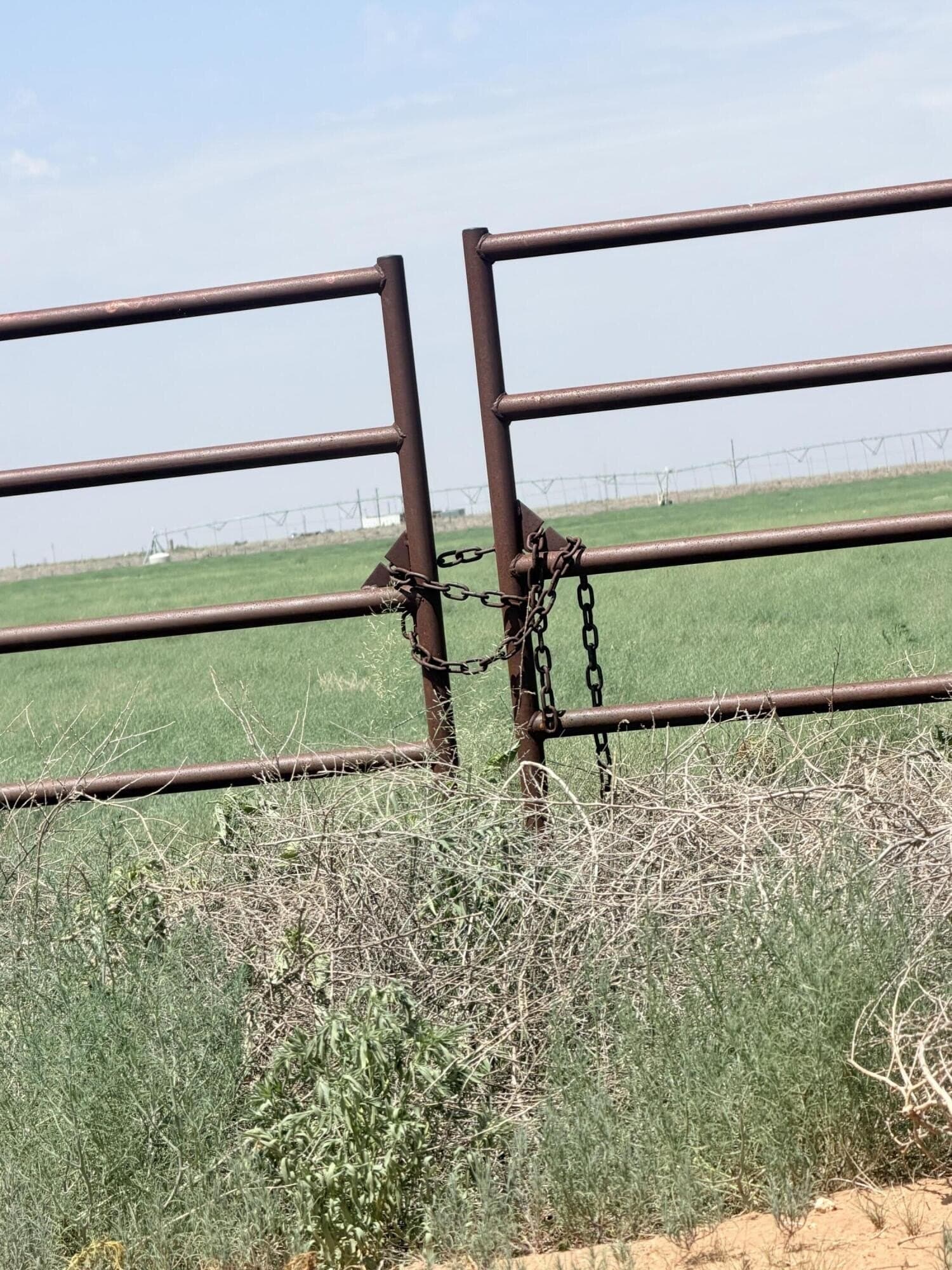 80 acres in Lubbock County - photo 8