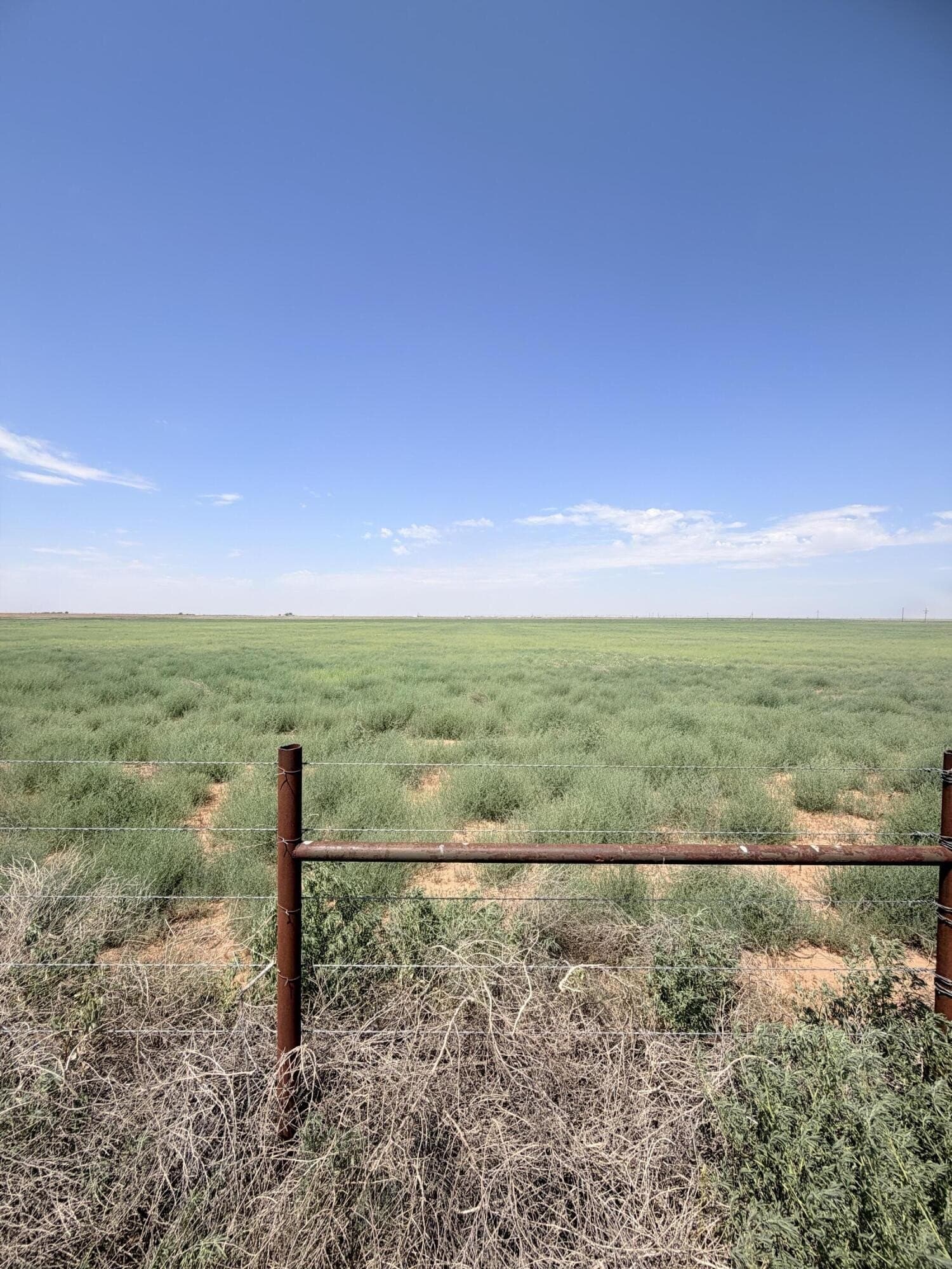 80 acres in Lubbock County - photo 6