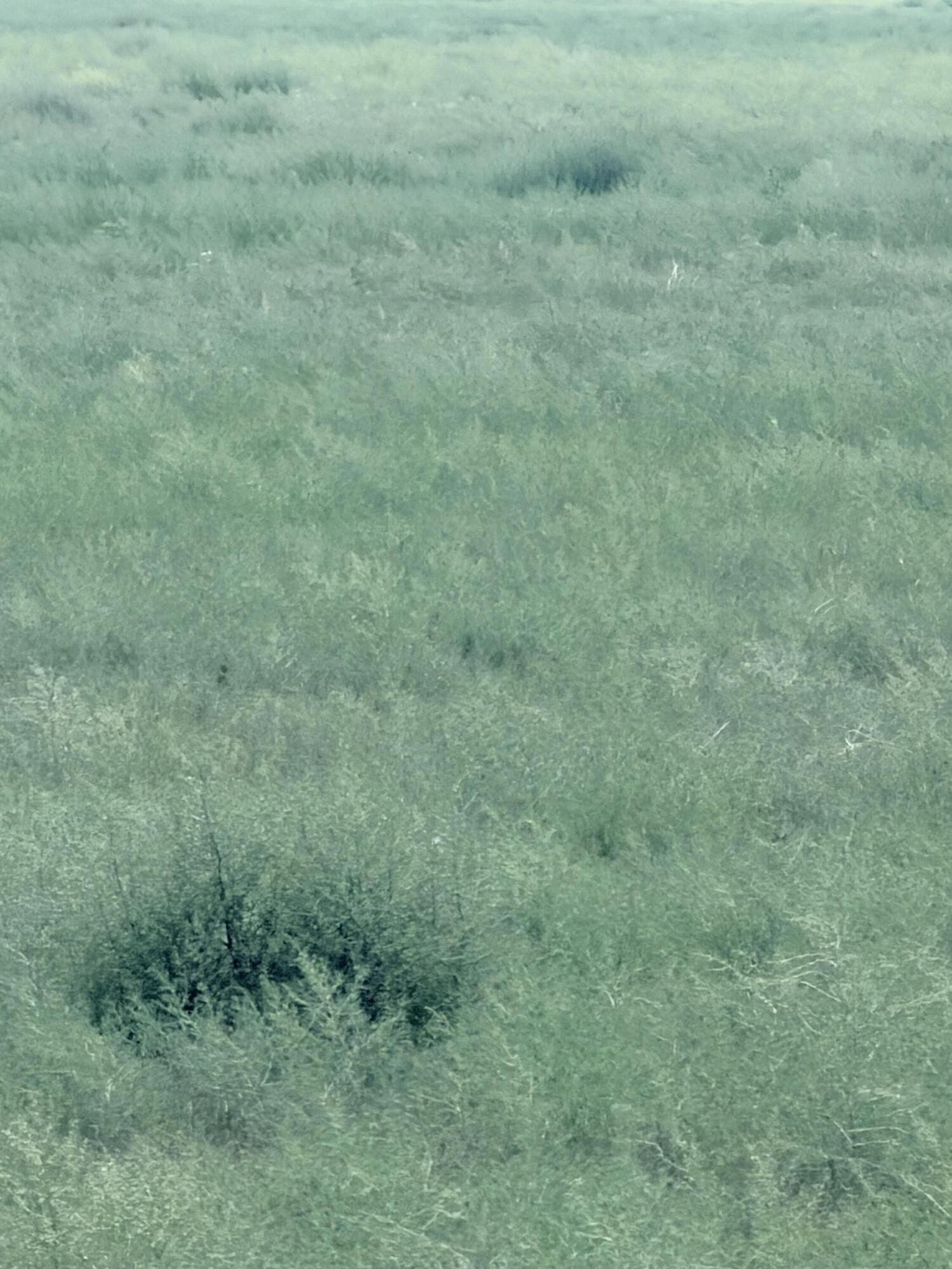 80 acres in Lubbock County - photo 9