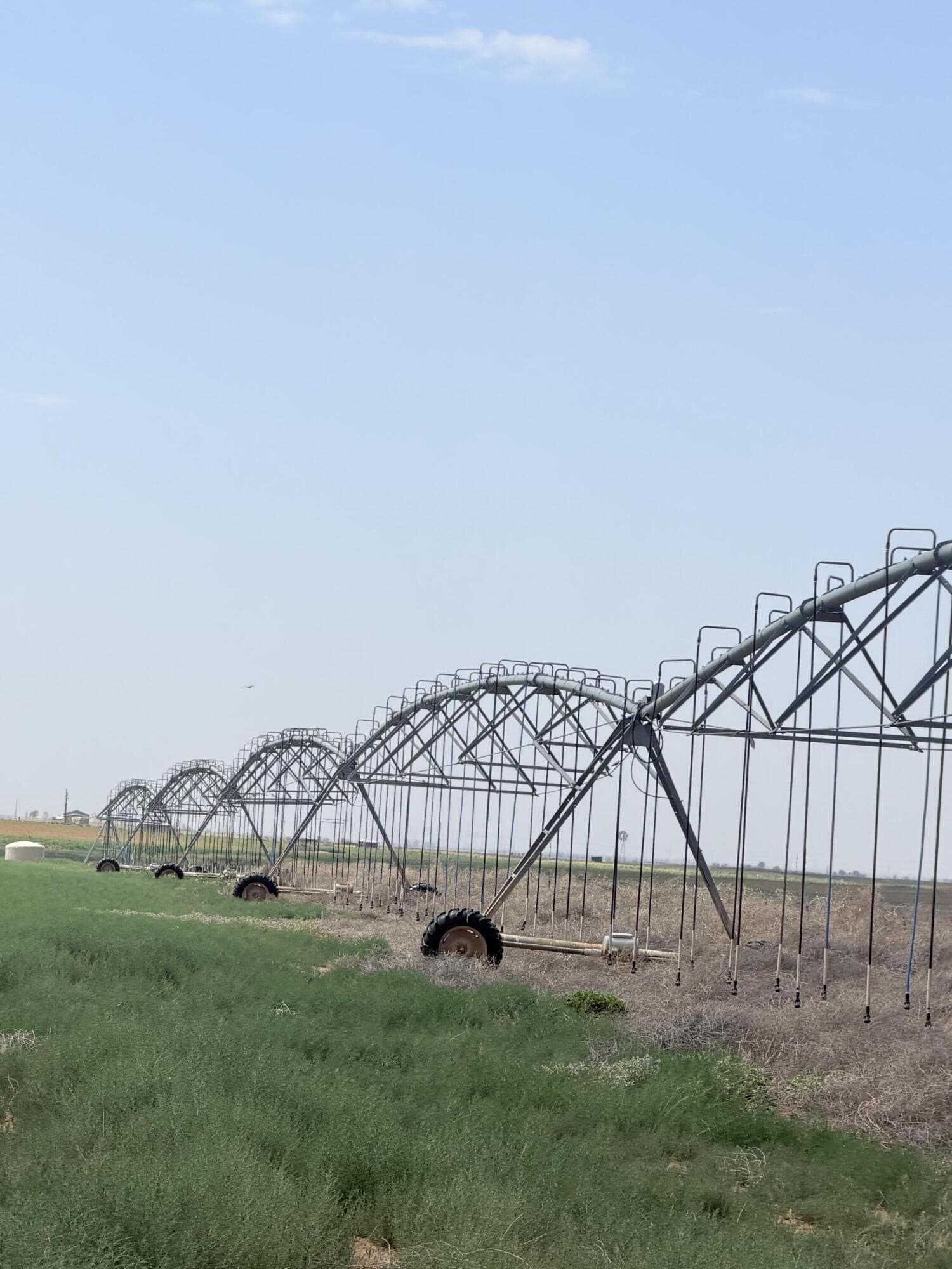 80 acres in Lubbock County - photo 11