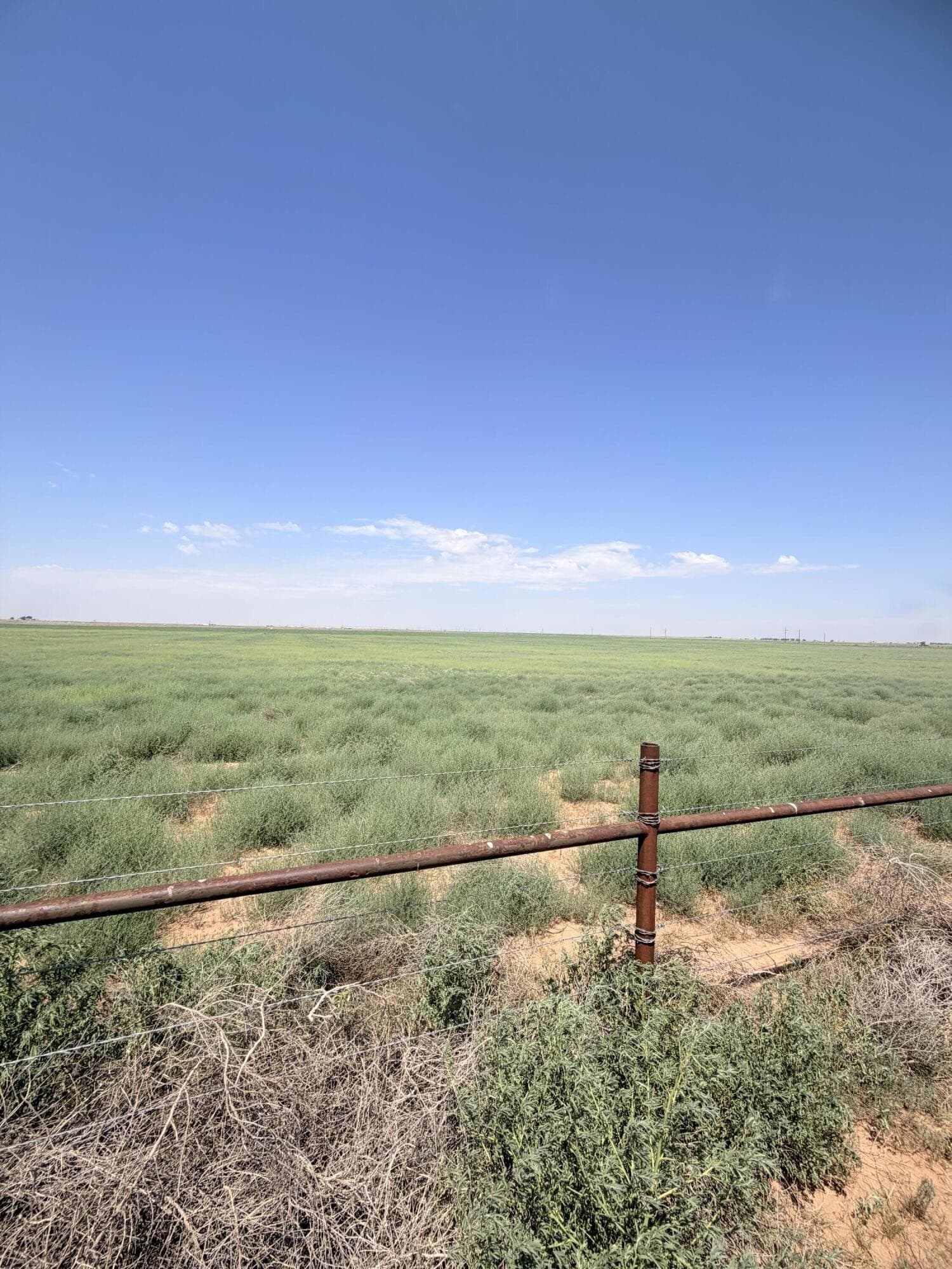 80 acres in Lubbock County - photo 5