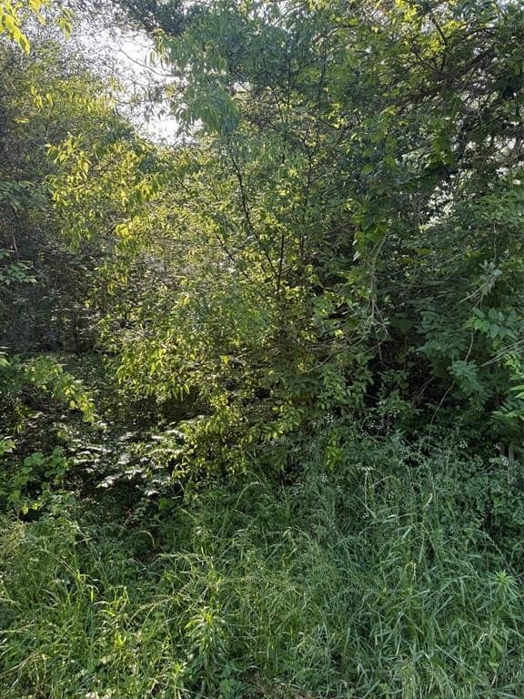 0.16 acres in Henderson County